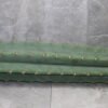 Trichocereus Pachanoi Cutting (45-50cm) ROOTED - Image 3